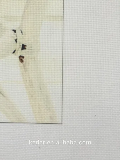 New Recyclable banner fabric