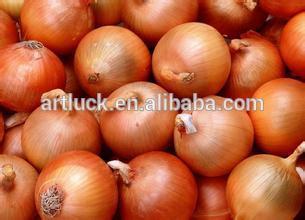 Fresh onion