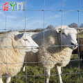 Clôture de bétail sur la clôture de chèvre de moutons de cheval de ferme