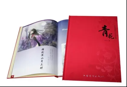 Tattoo book,Qing Hua