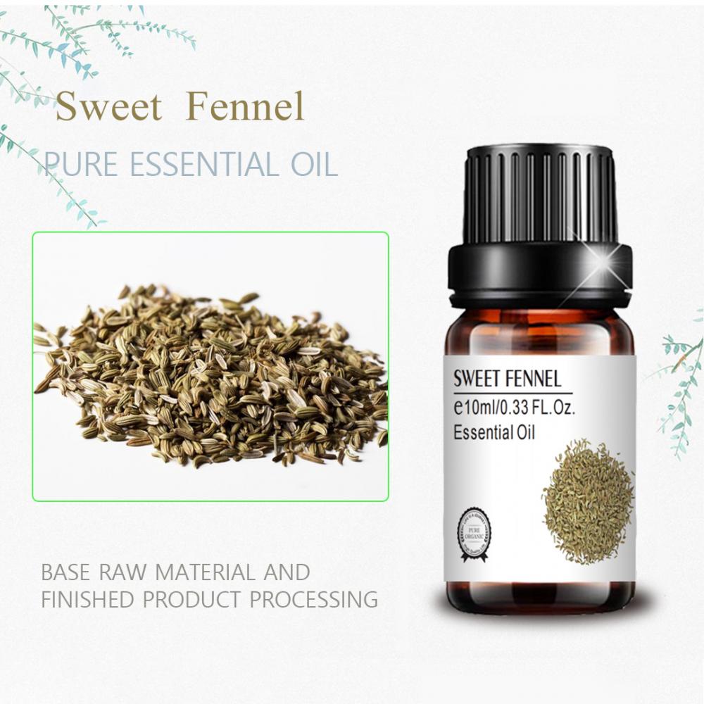 high quality Pure Natural organic Sweet Fennel Seed oil