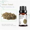 high quality Pure Natural organic Sweet Fennel Seed oil