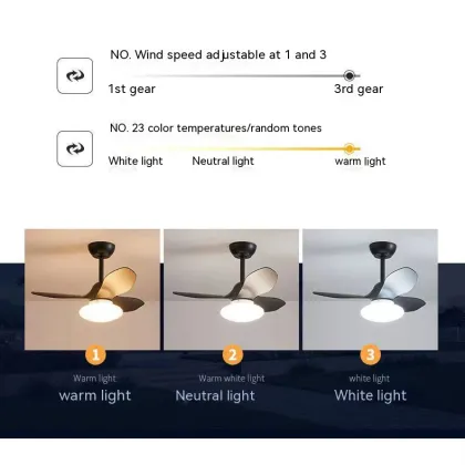Remote Control Dimmable Small Fan Lamp - Creative Decoration Lighting Ceiling Fan Light