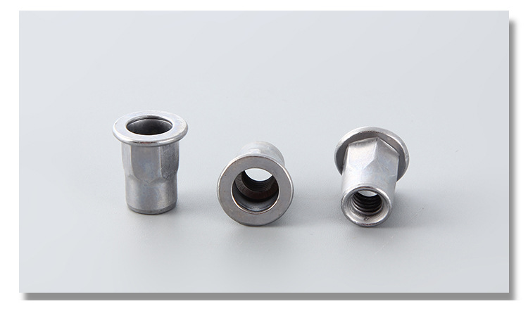 Stainless Steel Rivet nut