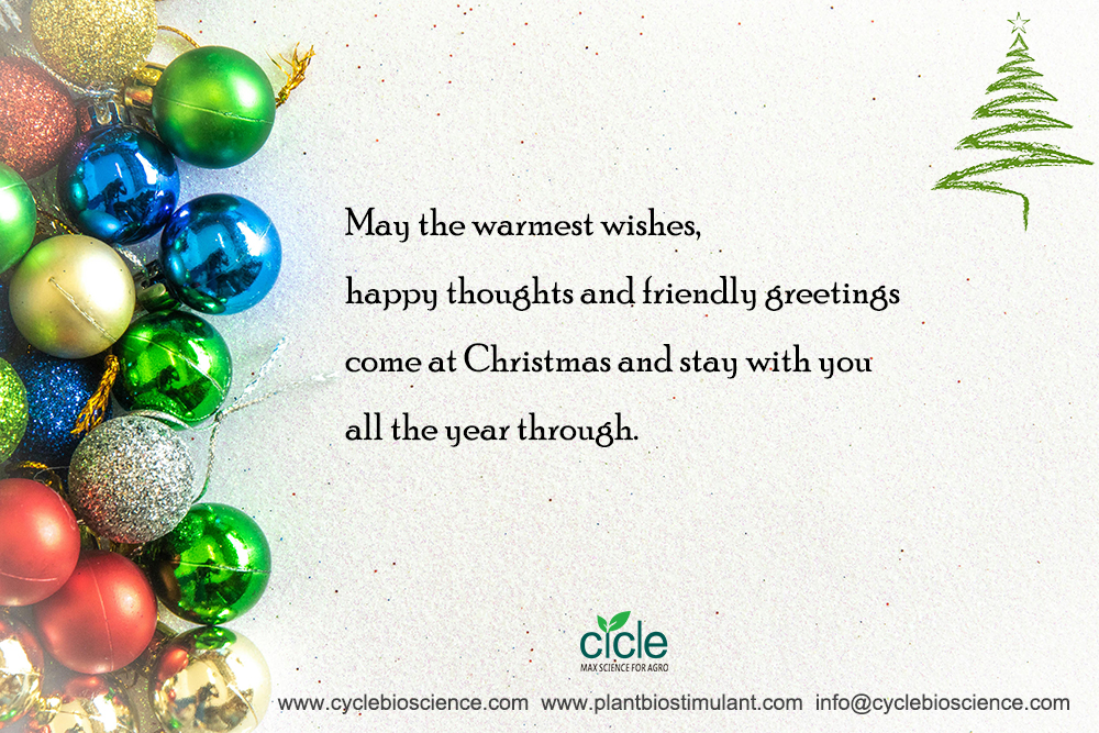Merry Christmas！
