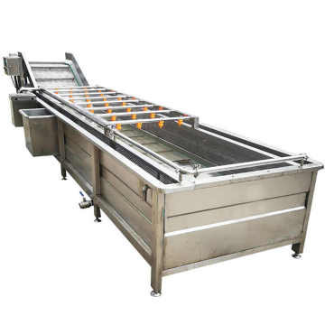 High Output Citrus Fruit Washing and Waxing Machine