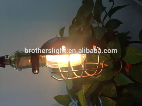 2015 more popular Meterial Iron vintage hanging light bird bulb squirrel cage