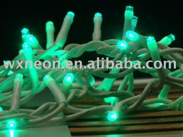 Christmas Lights Twinkling Lights (24v)