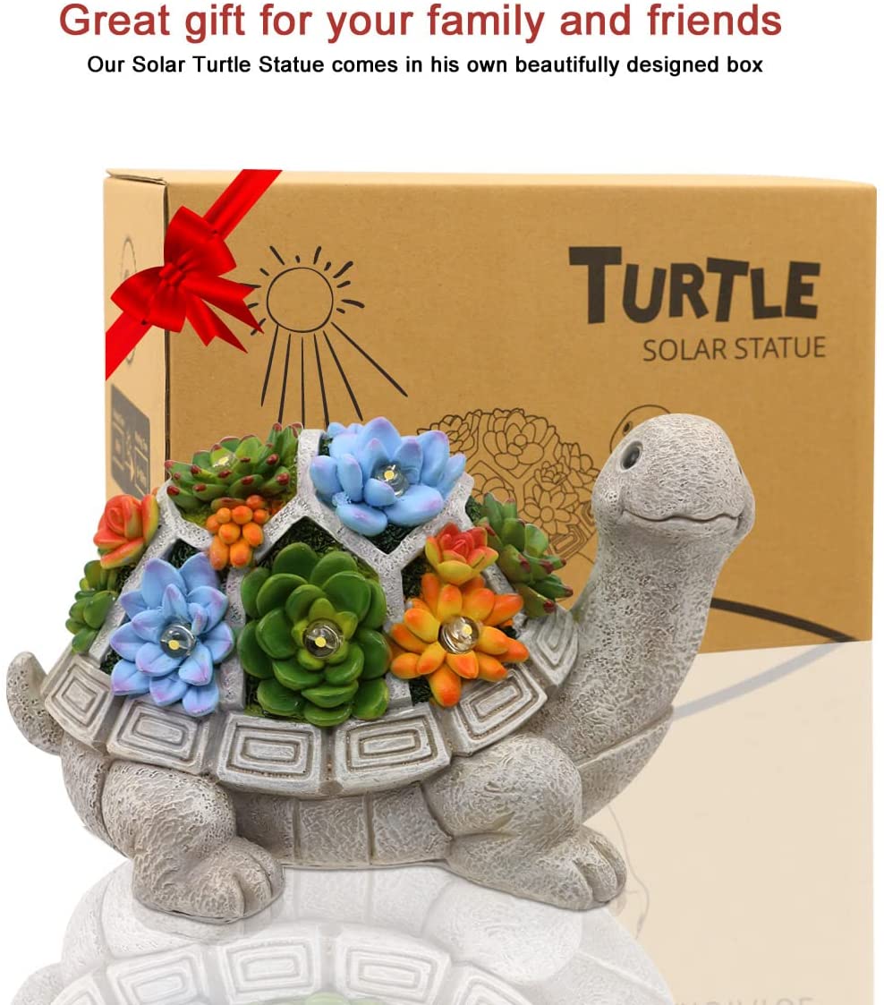 Figurine de tortue solaire avec succulent