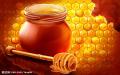 miele di api pura e naturale sfuso