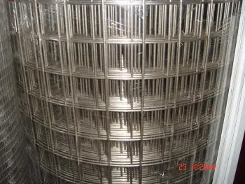 SS welded wire mesh