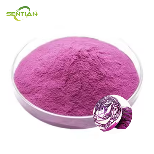 High-quality food-grade purple cabbage powder