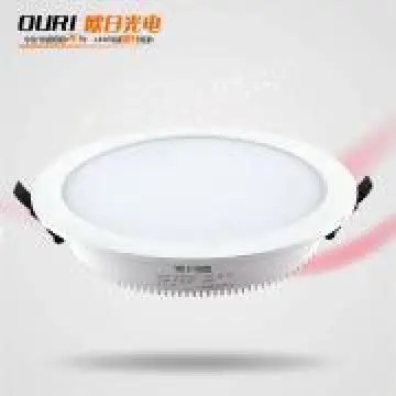 LED Down light  24W