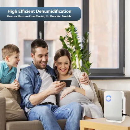 1300ml Home Moisture Absorber: Whole House Dehumidifier