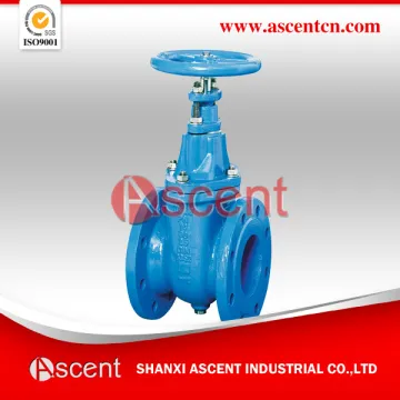 Ductile Iron Soft Seat Gate Valve BS5163