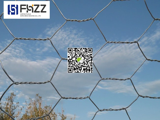 Electro Galvanized Hexagonal Wire Netting