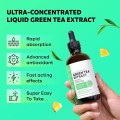 Antioxidant Weight Loss Green Tea Extract Liquid Drops