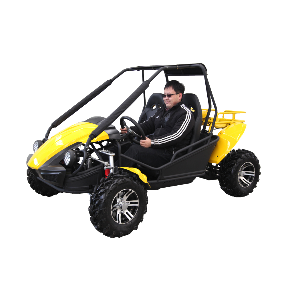 go kart 250cc dune buggy للبيع