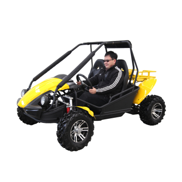 2 seater go kart 250cc buggy for adult