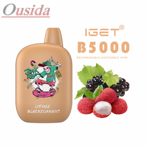 New Fasion Vape IGET B5000 High Quality
