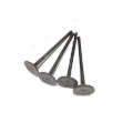 Intake Valve 22211-03000 for Engine