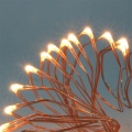 Battery Copper Wire LED String Lights