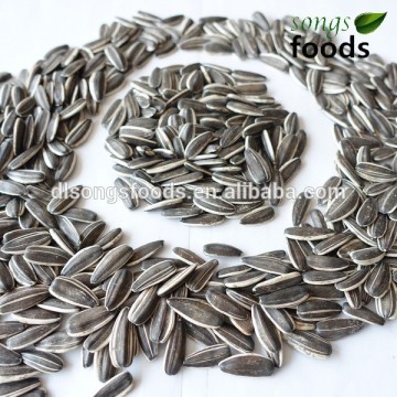 Looking business partnership to sell sunflower seeds