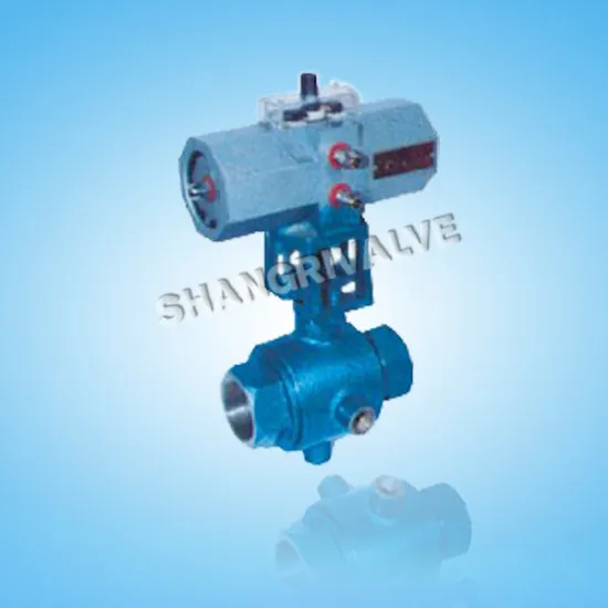 Screw Pneumatic Jacket Ball Valve (Type: BQ611F)