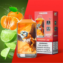 USA Best JNR Falcon 16000 Vape Flavors Ranked
