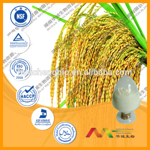 Iso&gmp Ferula Asafoetida Extract Powder(8098 By Hplc), High Quality