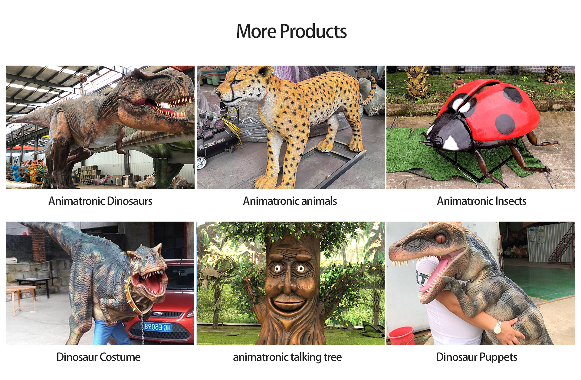 More Products
