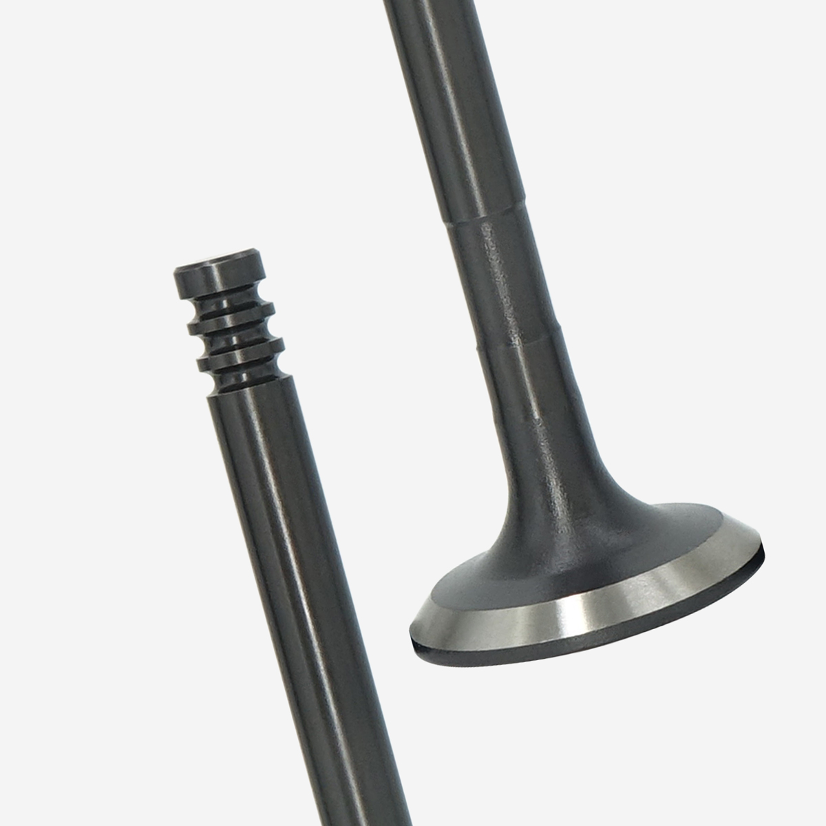 Engine Valve(2L)06