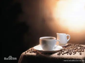 Ground Coffee Bean
