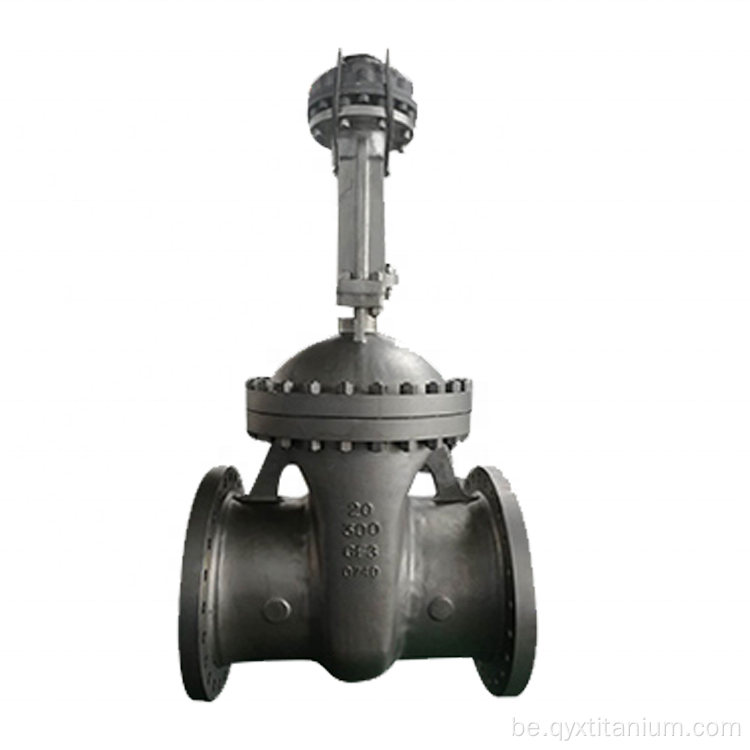 DN15-DN400 VT1-0 GR12 Titanium Gate Vate