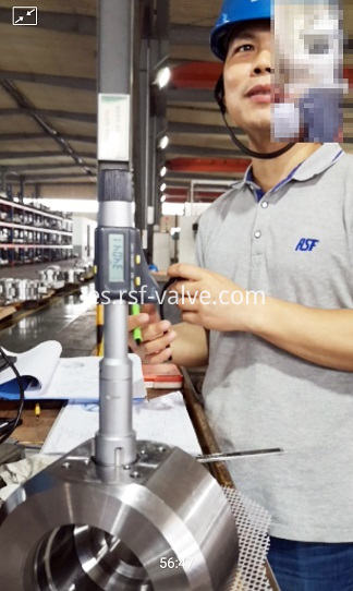 RSF VALVE_Telematic Inspection with European Customer_1