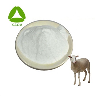 Sheep Placenta Extract Placenta Powder ราคา