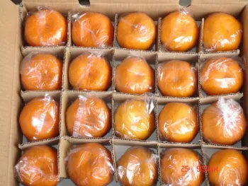 Mandarin