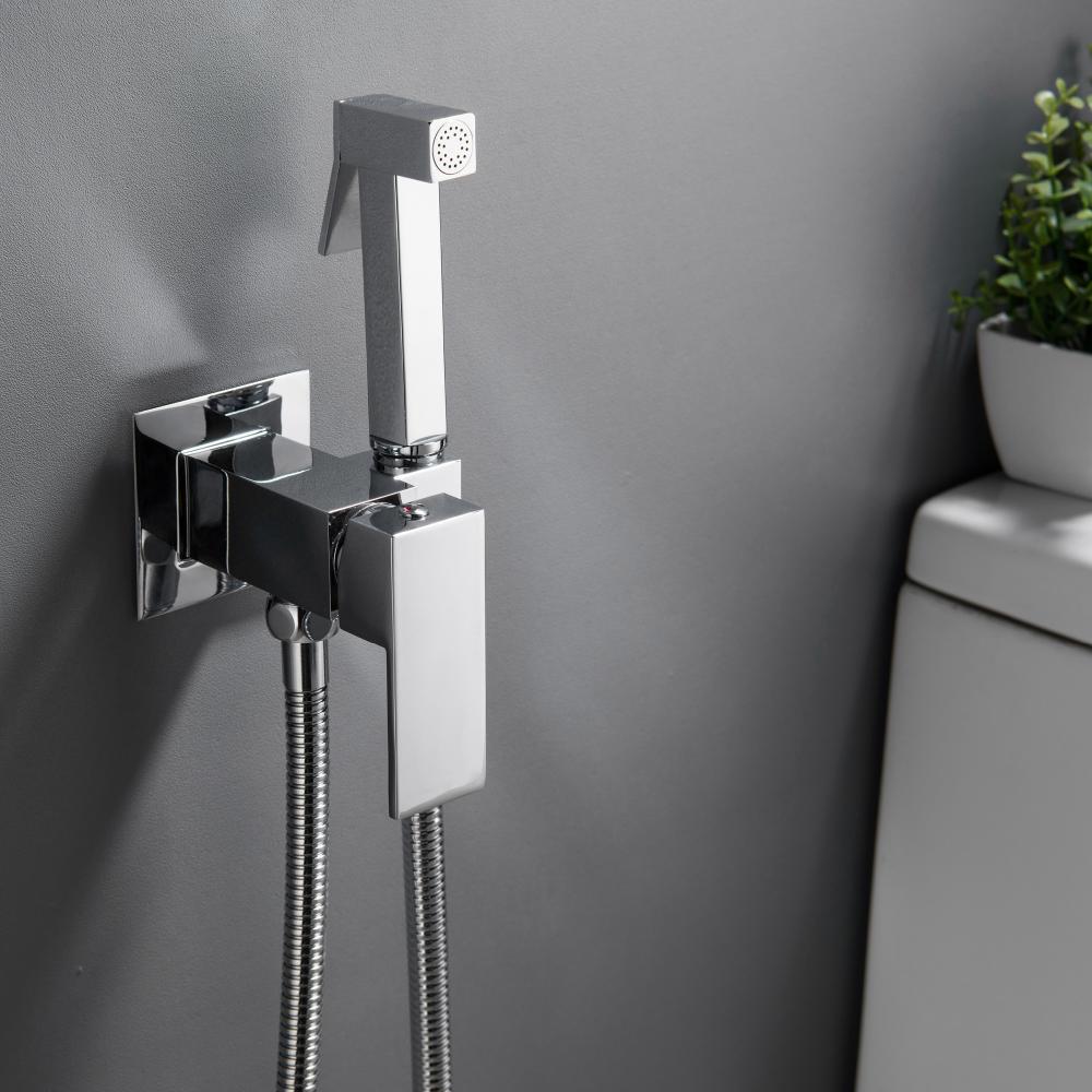 Chrome Toilet Sprayer