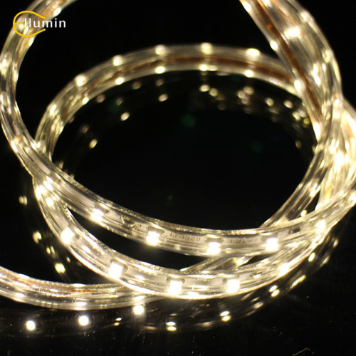 Cheap 12 Volt 5m/Roll LED Flexible Strip Light