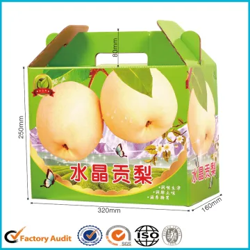 Corrugated Paper Carton Paper Box for Pear