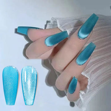 2022 New Arrival Summer Color Magnets for Blue Cat Eye UV Gel Polish