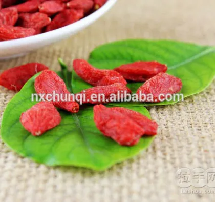 Rich Vitamins, goji berry, wolfberry