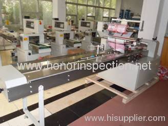 Packing Machine Function Inspect 