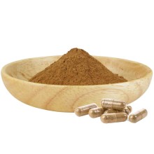 Turkesterone Decumbent Bugle Herb Extract Powder