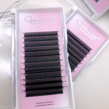 Wholesale 0.07 C/D Volume Clover Eyelash Extension Trays - 3DW W Shape Lashes