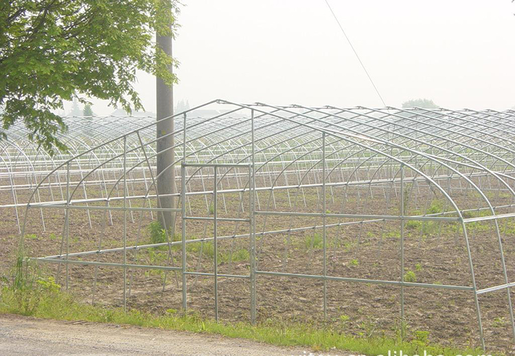 Economic Pe Film Greenhouse