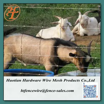 1.2m sheep wire mesh fence hot sale