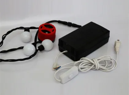 Smart Decorative Lighting Holiday Lights