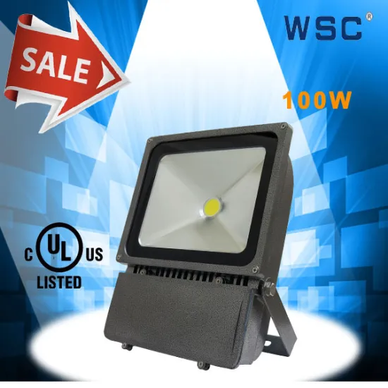 CE UL approved excellent heat sink 100-277V cob led floodlight 100w