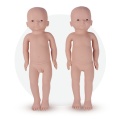 Newborn Physical Examination Model